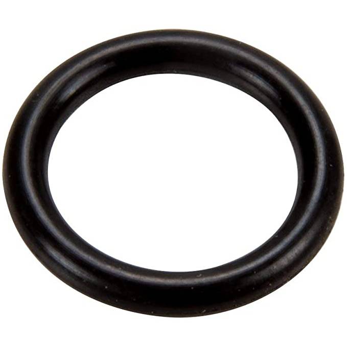 PENTAIR ROTOR SHAFT O-RING JV18