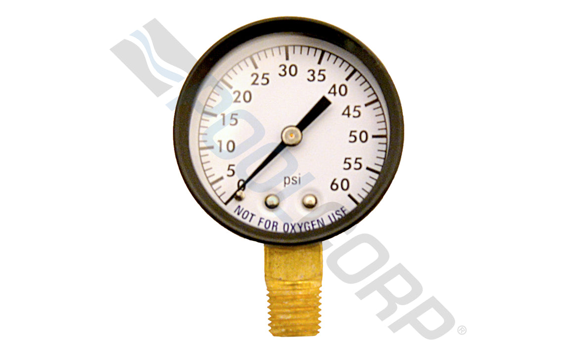 SUPER-PRO 2" STEEL PRESSURE GAUGE 0.25" 0-60 PSI- BOTTOM MOUNT