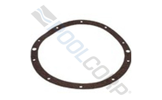 SUPER PRO 10 HOLE VINYL LIGHT NICHE GASKET G-110-9 PENTAIR
