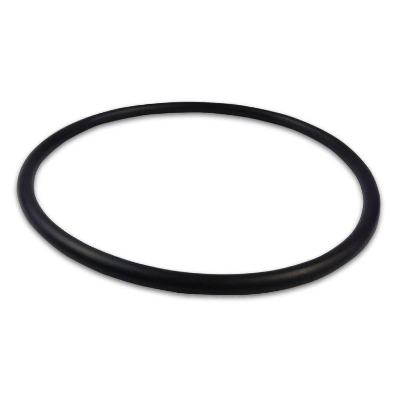 PENTAIR CHALLENGER SEAL PLATE O-RING
