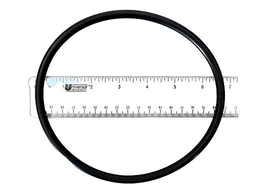 WATERWAY 6" STRAINER COVER ORING 805-0436