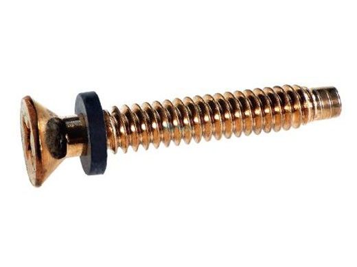 PENTAIR BRASS PILOT SCREW WITH WASHER