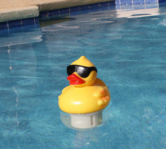 DERBY DUCK MID-SIZE CHLORINATO,