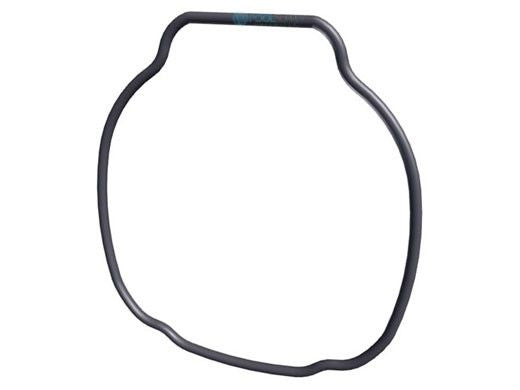 HAYWARD TRISTAR HOUSING O-RING SPX3200T