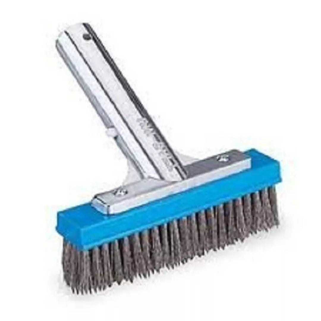 PENTAIR RAINBOW 6" METAL BACK STAINLESS STEEL ALGAE BRUSH #604