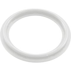 WATERWAY 2" HEATER O-RING/GASKET