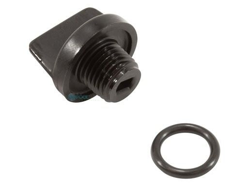 PENTAIR DRAIN PLUG ASSEMBLY WITH ORING .25 MPT