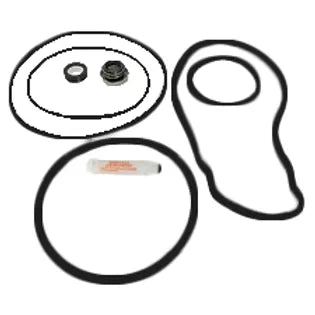 GO-KIT66 HAYWARD NORTHSTAR SP4000 (PRIOR TO 2003)