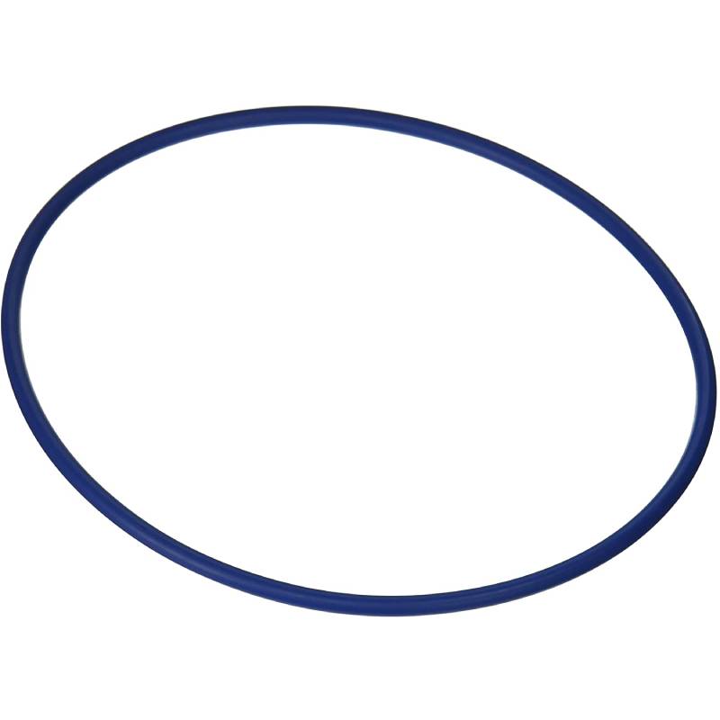 HAYWARD PRO-SERIES VALVE/TANK O-RING GMX600F generic