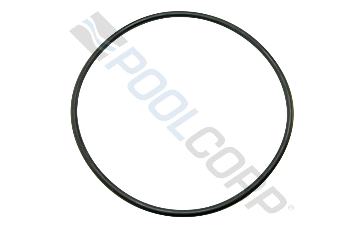 PENTAIR DYNAMO SEAL PLATE O-RING #2-362 3/16"