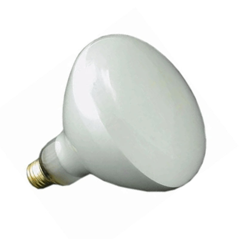 HALCO AMERILITE 500W R40 IN GROUND LIGHT BULB REPLACEMENT