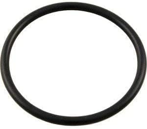 PENTAIR COVER O-RING 350013Z