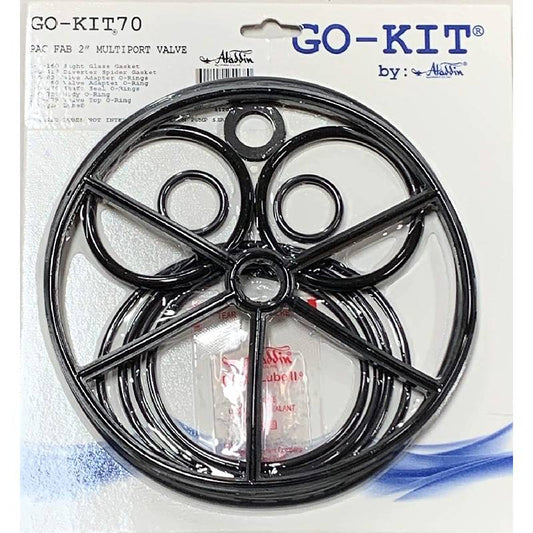 GO-KIT70-9 PAC FAB MULTIPORT VALVE 2"