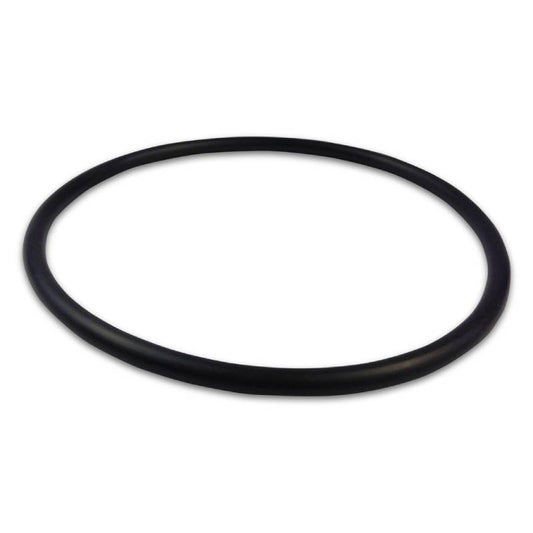 PENTAIR CHALLENGER SEAL PLATE O-RING