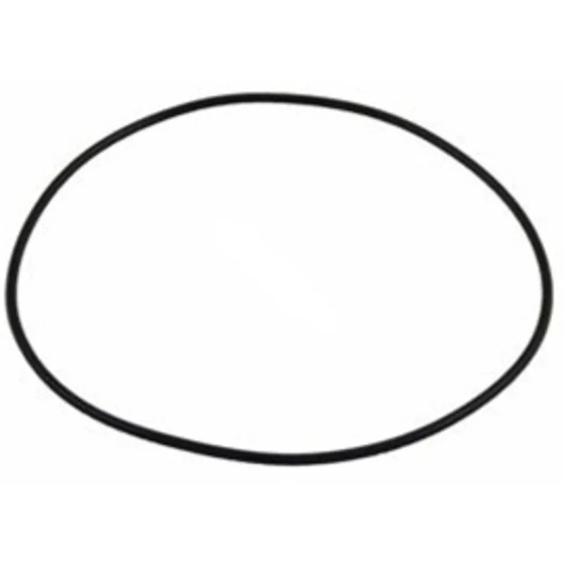 POLARIS BACKPLATE O-RING FOR PB4-60 BOOSTER PUMP