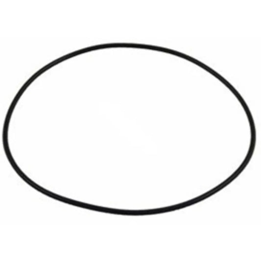 POLARIS BACKPLATE O-RING FOR PB4-60 BOOSTER PUMP